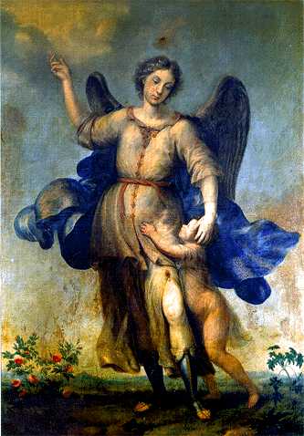 c21.jpg (26308 bytes)